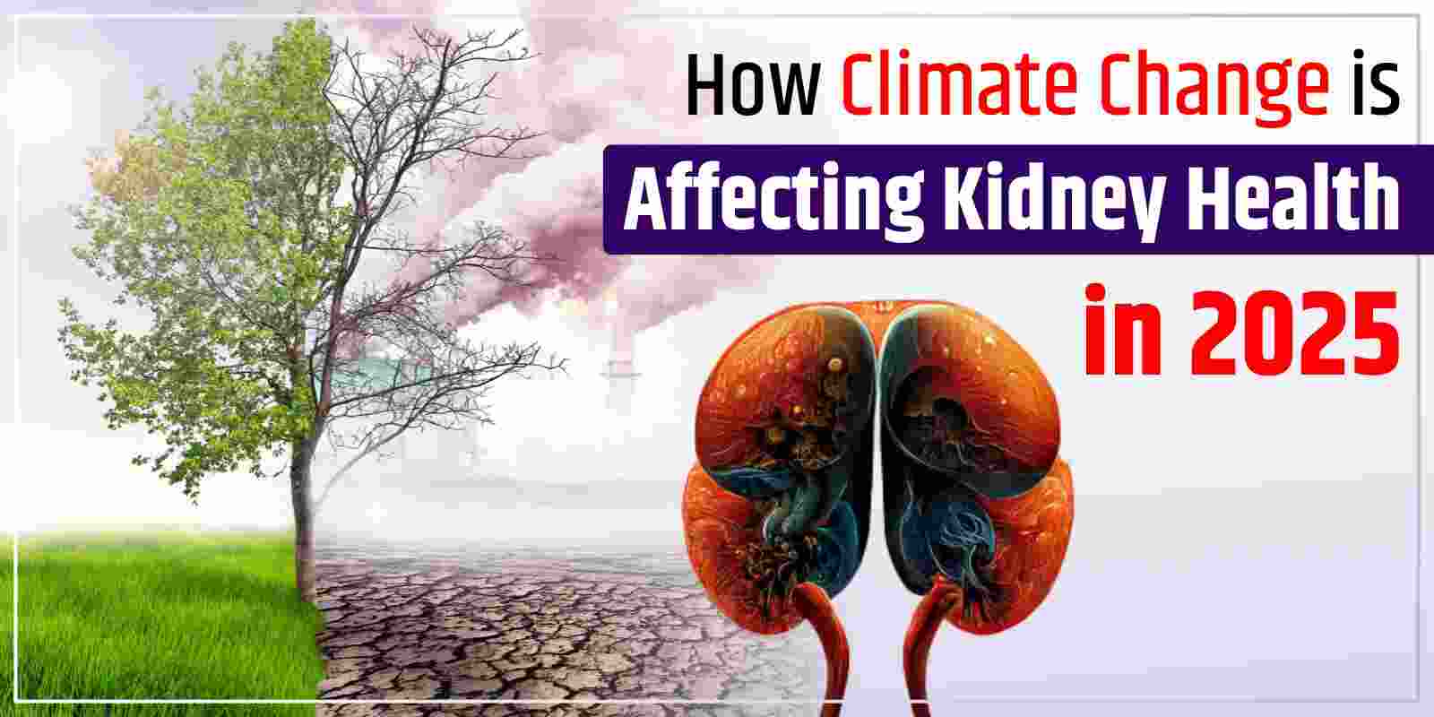How Climate Change is Affecting Kidney Health in 2025